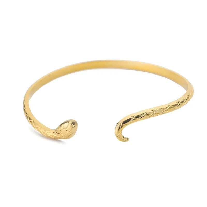 Bracelete Dourado Modelo Serpentina Fundo Branco